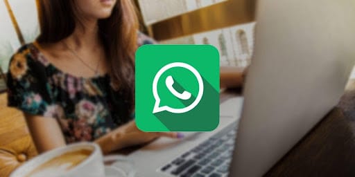 fake whats app