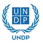 UNDP