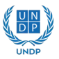undp-300x300-1-e1718109348702.webp